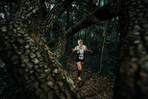 BIB: 
                            <button type="button" onclick="openModal(25684700)" class="btn btn-primary btn-sm float-right btn-popup" data-toggle="modal" data-target=".modal-high-quality">
                        <i class="fas fa-shopping-cart"></i> Add to Cart
                    </button>
                                            <button type="button" onclick="isThisMe(25684700, true)" class="btn btn-success btn-sm float-right btn-popup btn-isme hidden" data-toggle="tooltip" data-placement="bottom" title="นี่คือรูปของคุณใช่ไหม คลิกที่นี่เพื่อเอาเข้าอัลบั้ม">
                        <i class="fas fa-plus"></i> Add to album
                    </button>
                    <button type="button" onclick="isThisMe(25684700, false)" class="btn btn-warning btn-sm float-right btn-popup btn-isnotme hidden">
                        <i class="fas fa-ban"></i> Remove from album
                    </button>